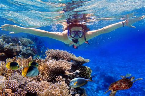 The Magic of the Sea: Discovering the Wonders of a Snorkeling Adventure in an Island Lagoon